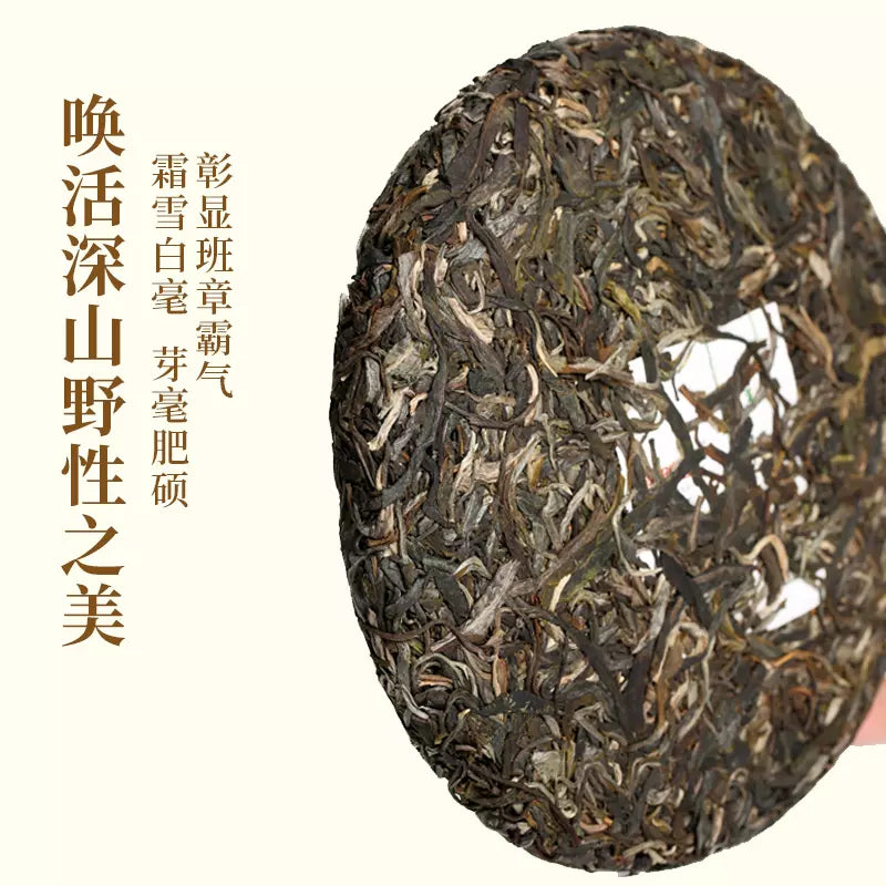 2020 Ru Dao Five Stars Ban Zhang Gu Shu Pu'er Tea Leaves Yunnan Pu'er Tea Raw Tea 357g